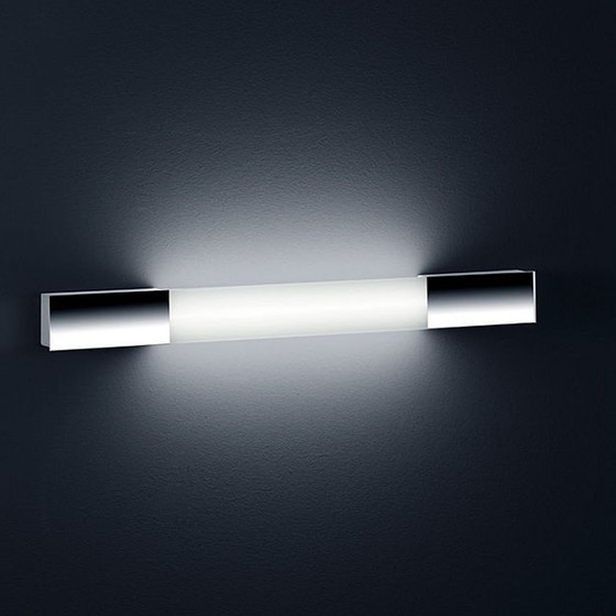 Helestra arya Helestra arya