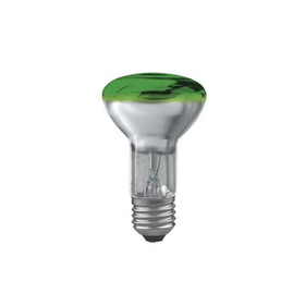 Paulmann 250.63 60W E27 Reflektorlampe R80 Grün