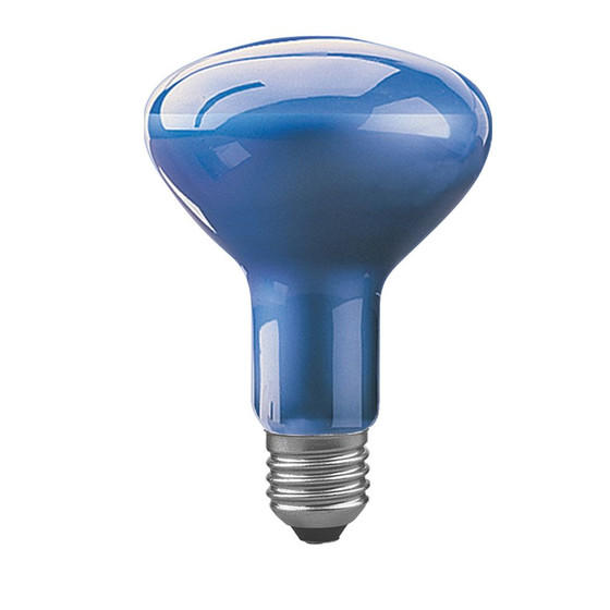 Paulmann 501.70 Reflektorlampe 75 W Pflanzenwachstum E27 Blau R80 