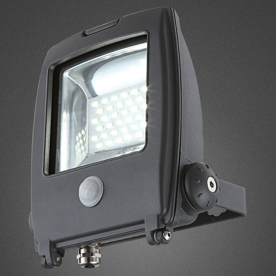 GLOBO 34218S Baustrahler LED 10 W für den Aussenbereich inkl. Leuchtmittel und Bewegungssensor