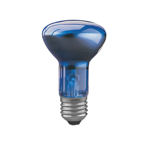 Paulmann 502.60 Reflektorlampe Plant R63 60W Leuchtmittel E27 Blau