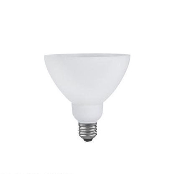 Paulmann 892.34 Energiesparlampe Decoshape R4 11W E27 Warmweiß