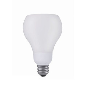 Paulmann 892.36 Energiesparlampe Decoshape R3 11W=60W...