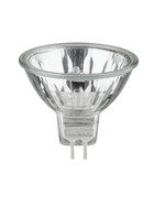 Paulmann 800.49 Halogen Reflektor Security 40W GU5,3 Silber Leuchtmittel