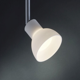 Paulmann 833.17 Halogenlampe Reflektor 20W GU5,3 Silber 12V Satin