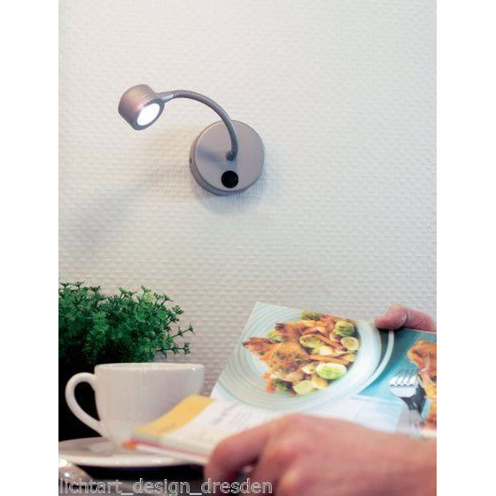 Paulmann 997.77 Galeria Herba LED Spiegelleuchte Bilderlampe 1W Titan 230V 99777