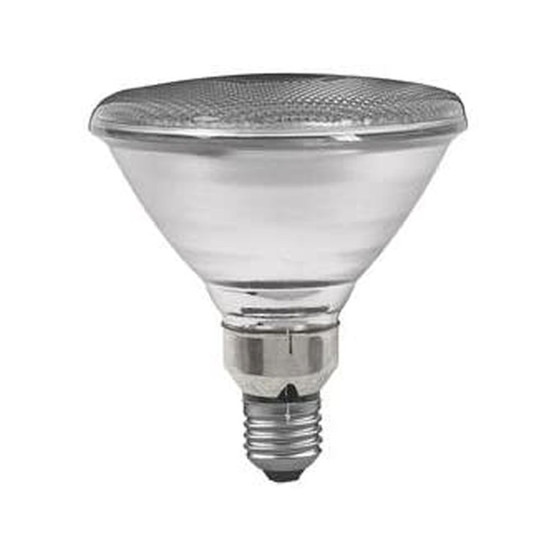 Paulmann 270.80 Reflektorlampe E27 Glühlampe 80W Silber...