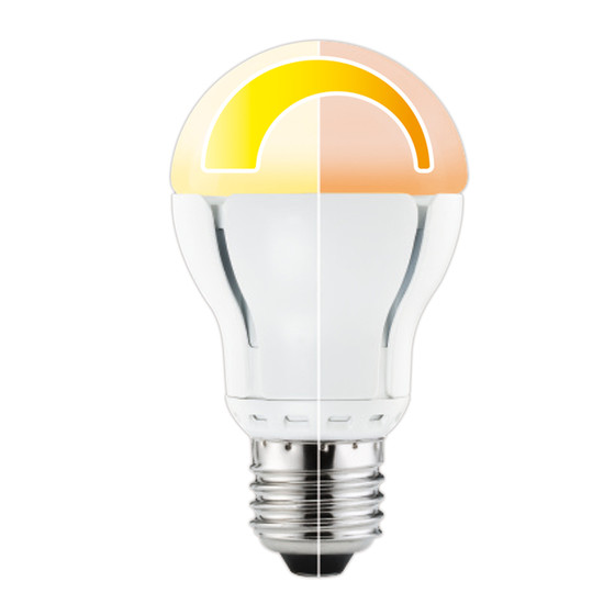 Paulmann 282.26 LED AGL 11 W E27 Warmdimm 2000-3000K