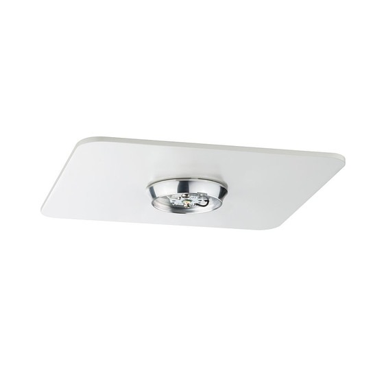 Paulmann 950.76 PadLED Set Aufbau-Lichtsystem Einzelstrahler 10W Wei Chrom incl. Leuchtmittel