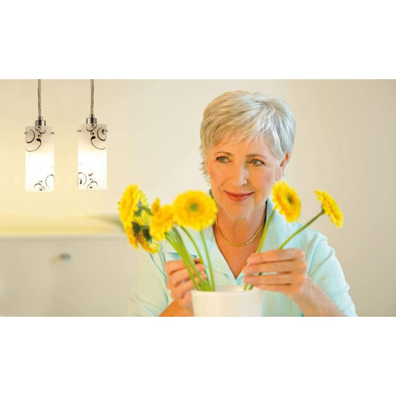 Paulmann 284.11 LED Kolbenlampe klar Wandleuchte 3,5W E27 Warmwei 2700K 230V A++
