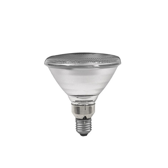 Paulmann 270.60 Reflektorlampe Leuchtmittel E27 Glhlampe 60W Silber Par 38