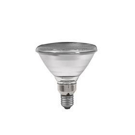 Paulmann 270.60 Reflektorlampe E27 Glühlampe 60W...