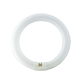 Philips 559685 Master Circular Leuchtstoffröhre G10q...