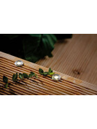 Paulmann 936.95 Plug&Shine Basisset Einbauleuchte MicroPen II