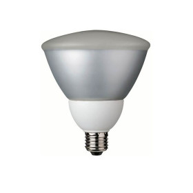 Paulmann 892.20 Energiesparlampe PAR 38 Reflektor 20W Leuchtmittel E27 Warmweiß