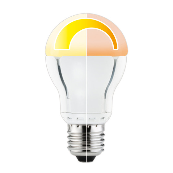 10 x Paulmann 282.25 LED AGL Leuchtmittel 7 W E27...