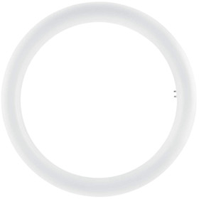 Osram LED SupstiTUBE Ringlampe G10q T9 32 Leuchtmittel...