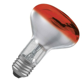 Paulmann 250.61 Reflektor R80 Lampe E27 Leuchtmittel 60W Rot