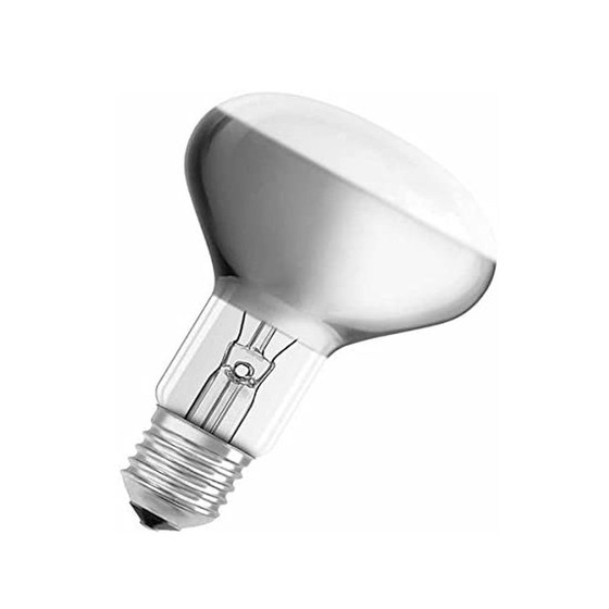 Paulmann 240.60 Leuchtmittel 60 W E27 Glhbirne Reflektor R80 Matt
