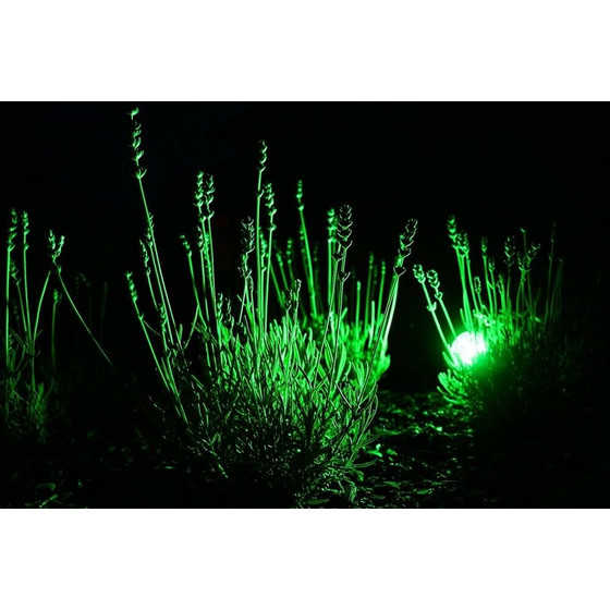 Heitronic 16466 LED GU5,3 5W 210lm Reflektor Grün Leuchtmittel Bunt