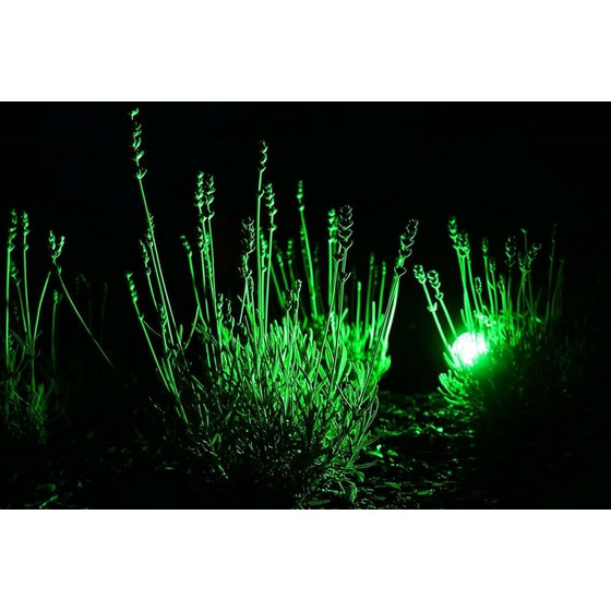 Heitronic 16466 LED GU5,3 5W 210lm Reflektor Grn Leuchtmittel Bunt