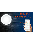 REV WiFi LED Wandlampe Außenleuchte Bewegungsmelder 30W App Alexa Ø 312mm IP44