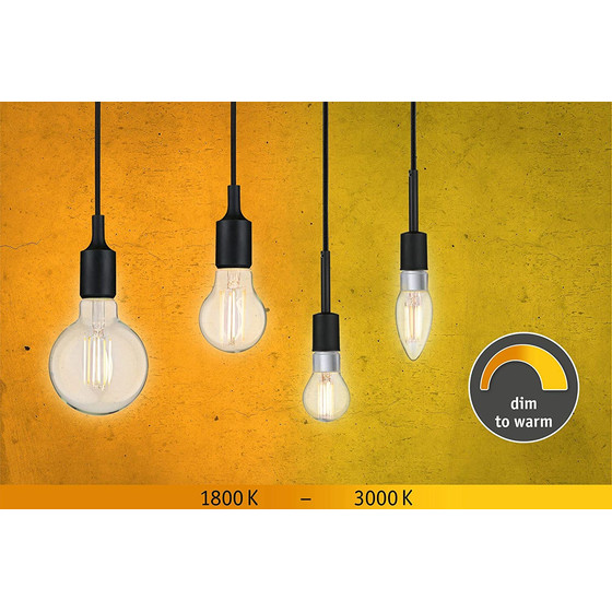 Paulmann 287.79 LED Globe95 Filament dim to warm E27 7W 806lm 1800-3000K dimmbar