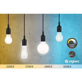 Paulmann 503.95 SmartHome LED ZigBee Filament TunableWhite Kolben 7 Watt dimmbar