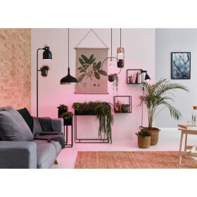 Paulmann 287.37 LED Filament Plant PAR38 E27 6,5W 230V Pflanzenlicht Grow Green