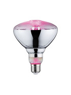 Paulmann 287.37 LED Filament Plant PAR38 E27 6,5W 230V Pflanzenlicht Grow Green