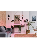 Paulmann 287.37 LED Filament Plant PAR38 E27 6,5W 230V Pflanzenlicht Grow Green