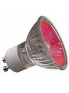 Paulmann True Color Halogen Reflektor Rot 50W GU10 230V 35° dimmbar